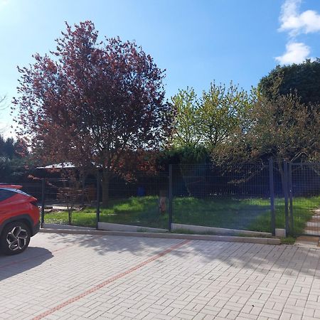 Penzion U Novotnych Jiřetín pod Jedlovou 외부 사진
